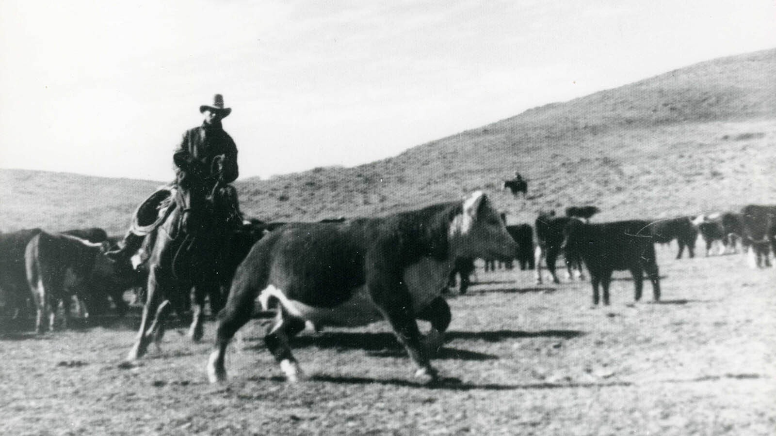 Steve James, recent inductee to the 2024 Wyoming Cowboy Hall of Fame. He said that a cowboy hat and boots don’t make you a cowboy.