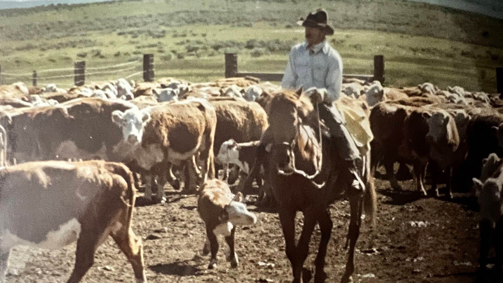 Steve James, recent inductee to the 2024 Wyoming Cowboy Hall of Fame. He said that a cowboy hat and boots don’t make you a cowboy.