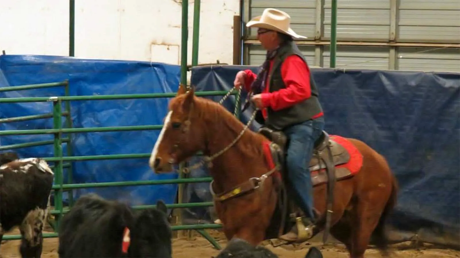 When He Saw There Wasn’t A Wyoming Cowboy Hall Of Fame, Scotty Ratliff ...