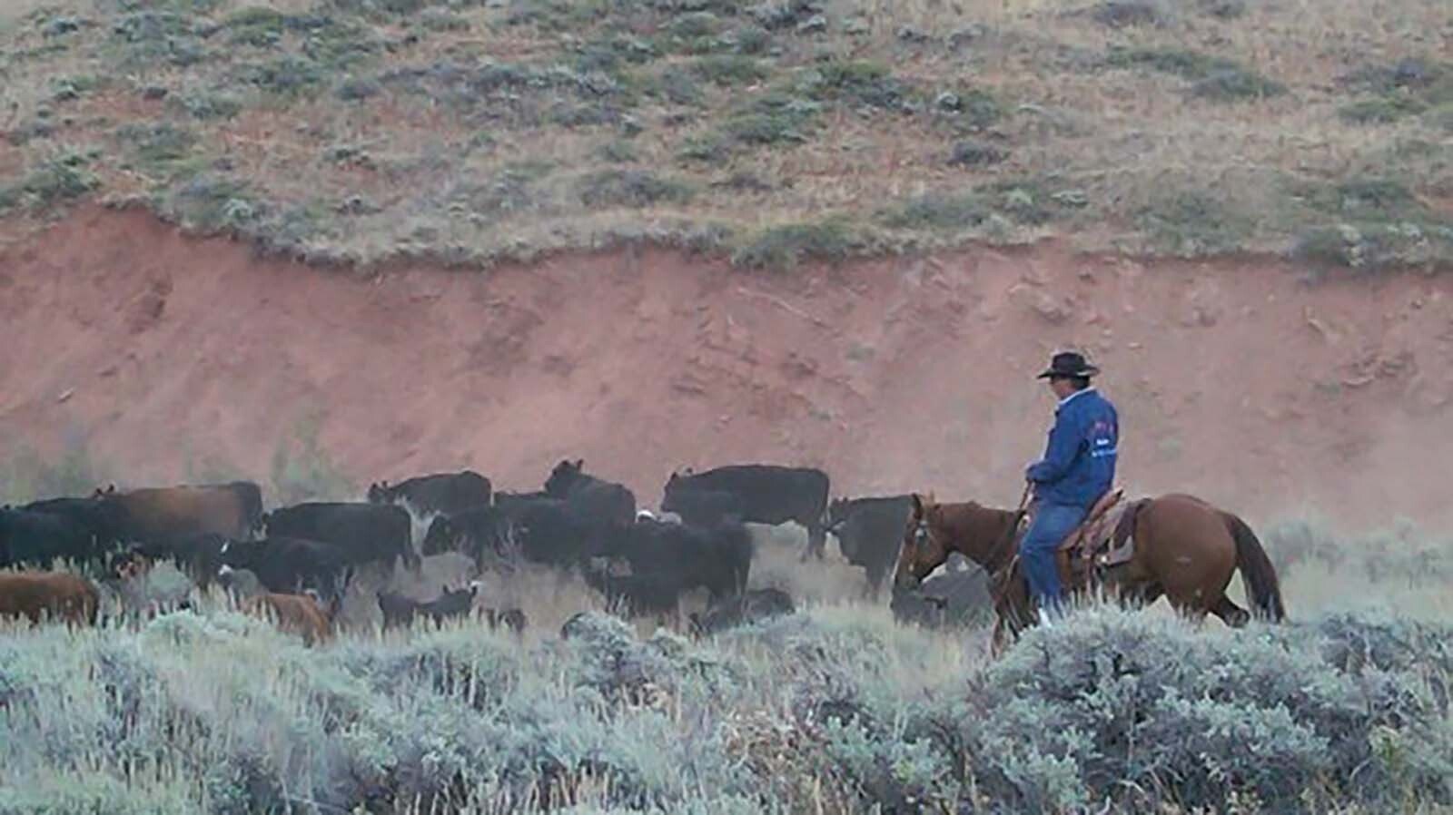 Scott Ratliff of Riverton, Wyoming, helped found the Wyoming Cowboy Hall of Fame to honor all those who made a living in the saddle. He said that it is an opportunity to recognize those who have gone unsung their entire lives.