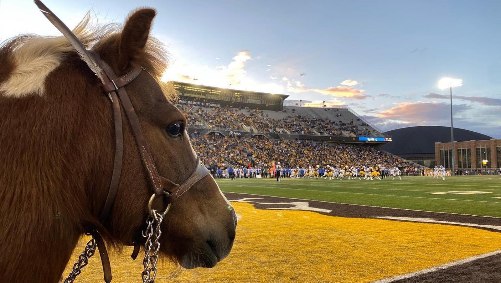 Cowboy Joe awaits his cue to run out at a football game in September 2022 at War Memorial Stadium.