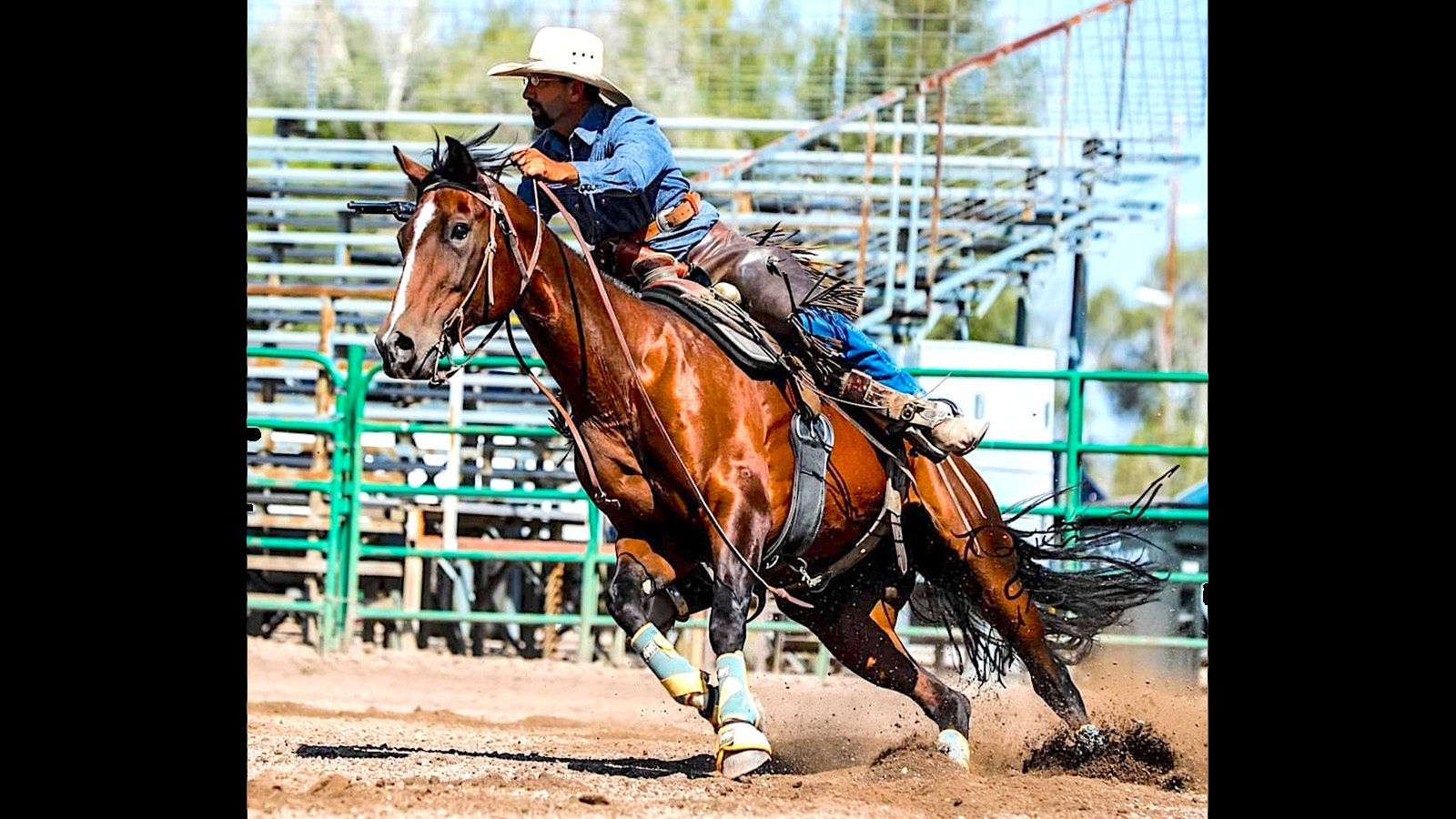 Mark Urlacher of Powell is a Level 4 cowboy mounted shooter. In competition, he rides his 19-year-old quarter horse, Lucy.