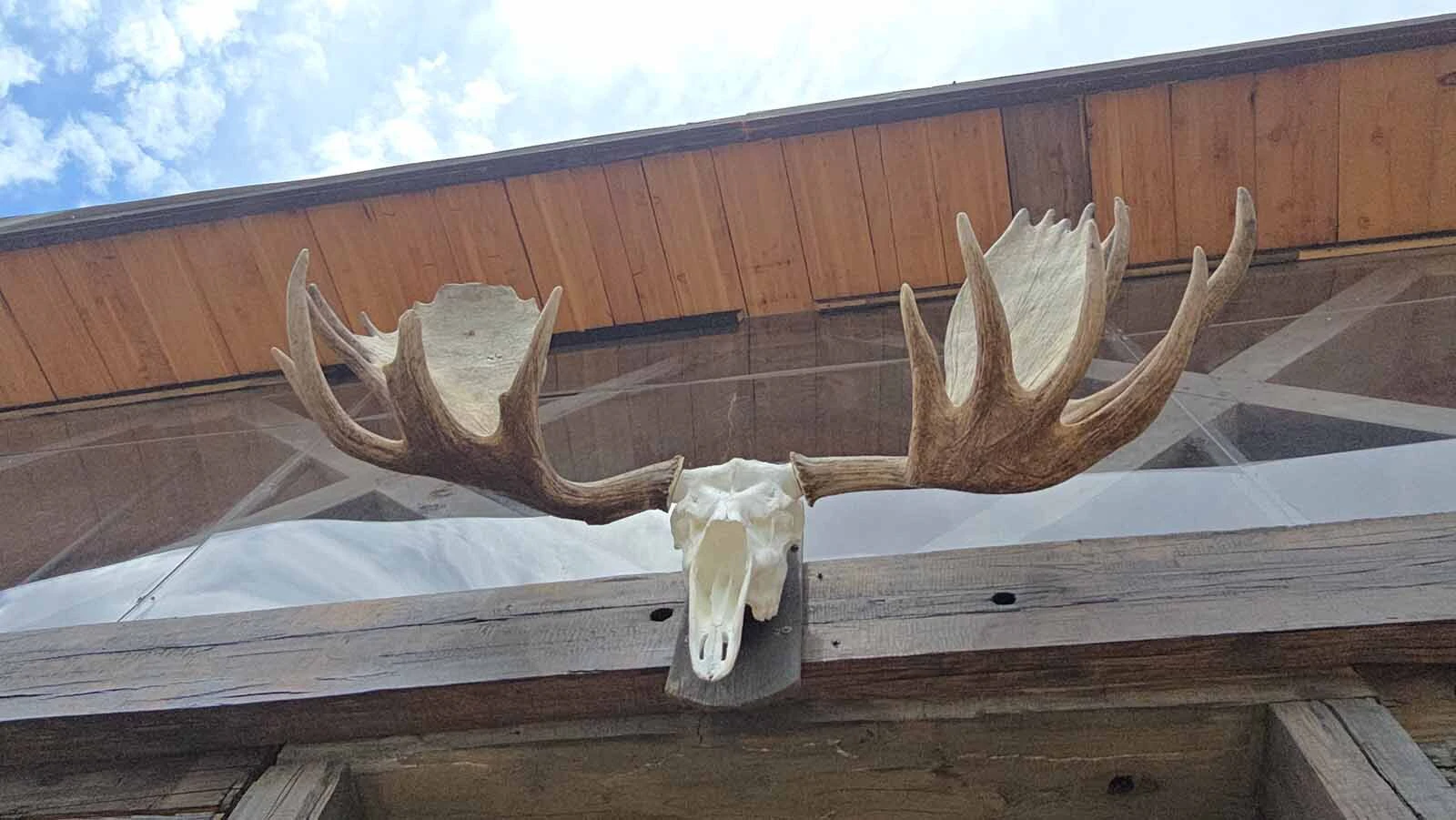 A decoration over the entrance to the Cowboy Starship.