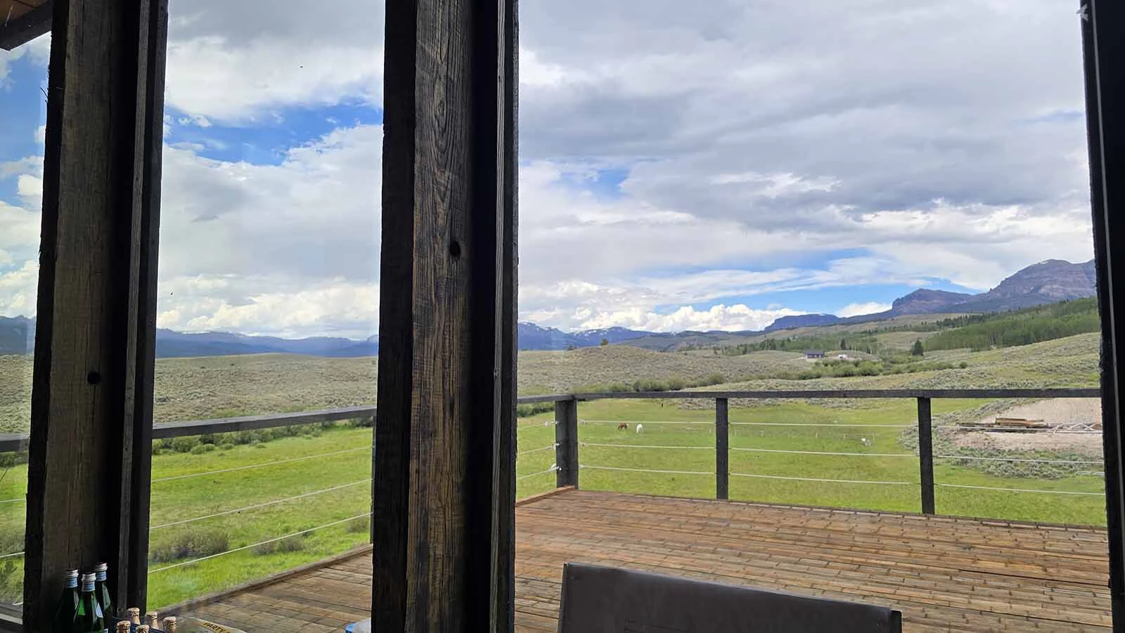 The horses in this photo are grazing near where a mama grizzly and her cubs played the day before.