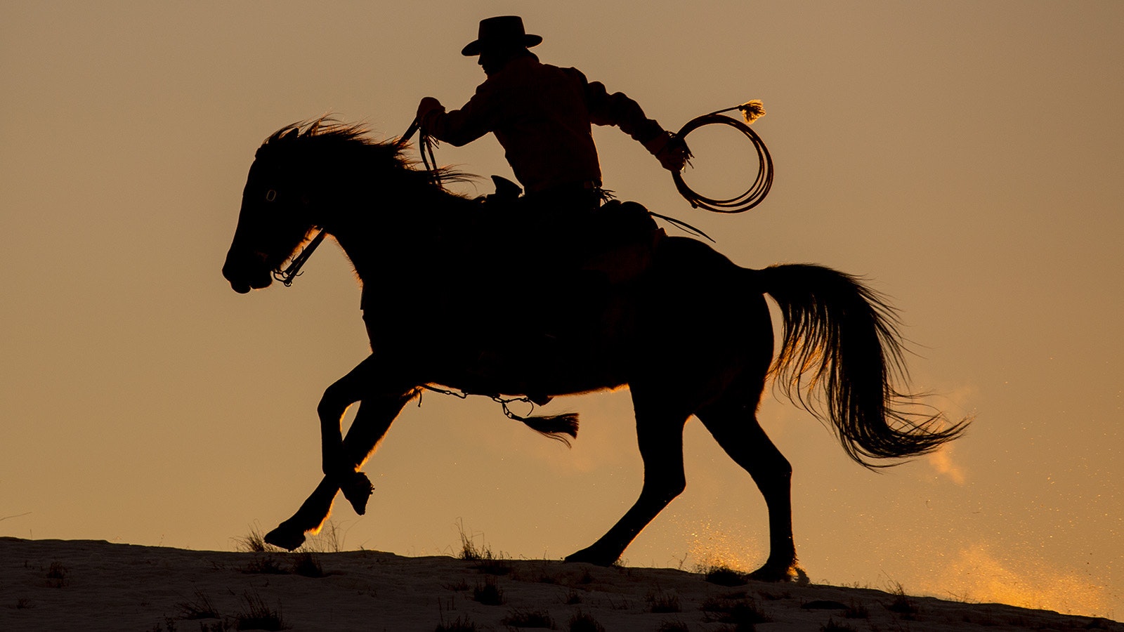 Cowboy silhouett 1 13 24