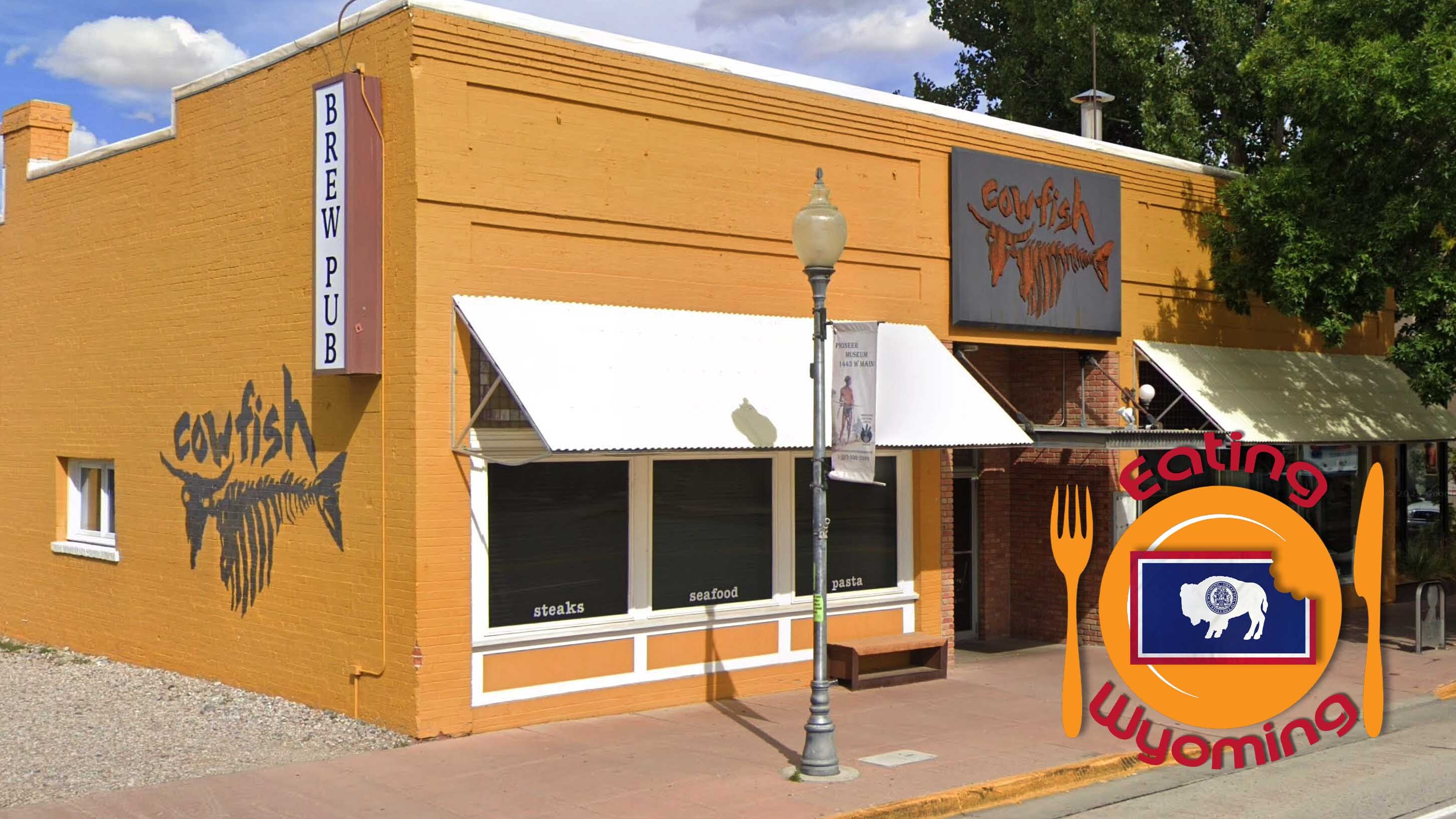 Cowfish outside eating 3 28 26