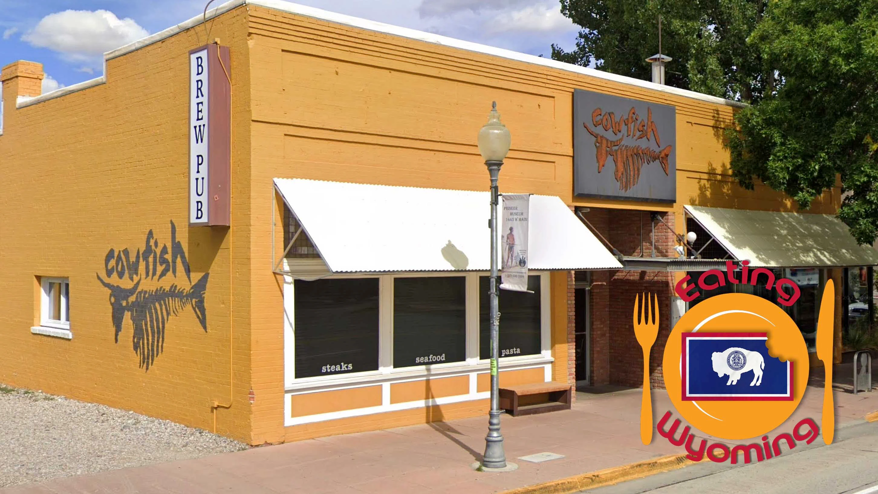 Cowfish outside eating 3 28 26