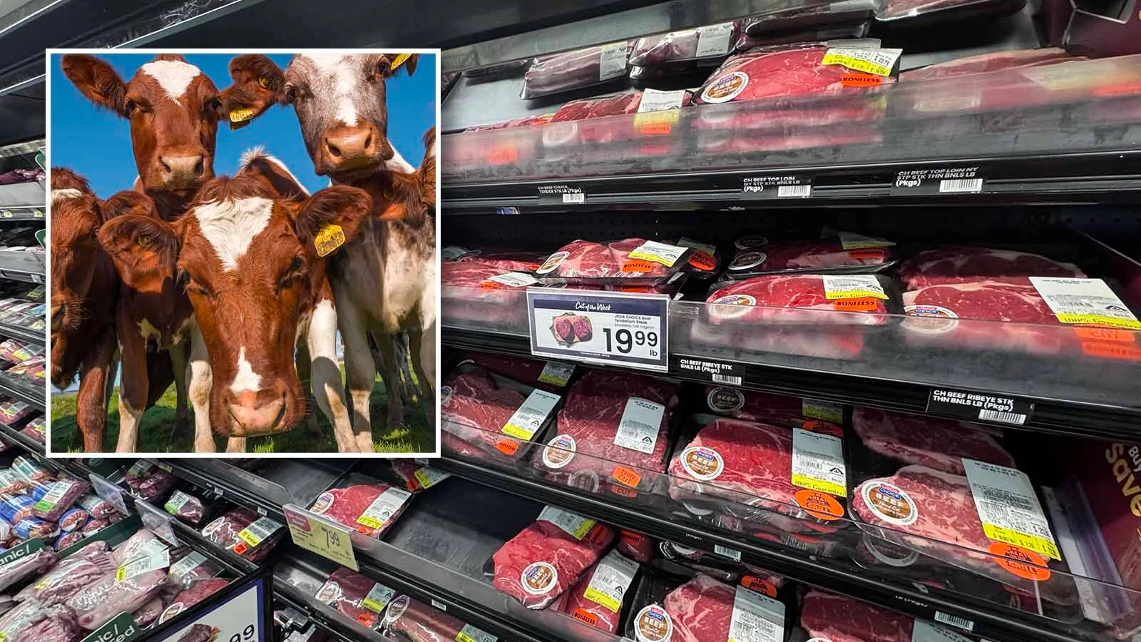 Wyoming ranchers are riled at President Trump’s Friday announcement that the U.S. will allow up to 300,000 metric tons of ground beef to be imported without tariffs. They say Wyoming would be better off if allowed to sell state-inspected beef across state lines.