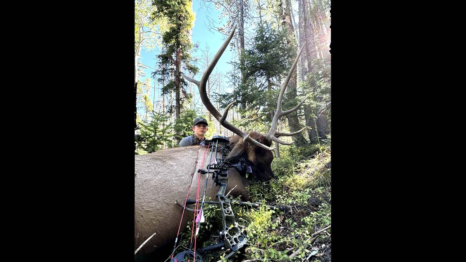 Coy Monroe, 14, of Encampment has already filled his 2024 big game archery tags – with an antelope, elk and deer. He hopes to get a mountain lion this winter.