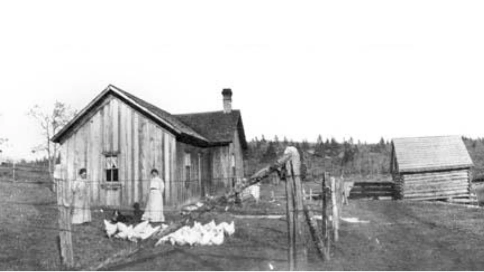 A rancher near present-day Newcastle recalled a time that frontier justice left behind a warning — the hanging corpses of two horse thieves. Unfortunately for two young men, they missed the warning and spent the night with the bodies dangling above their heads.