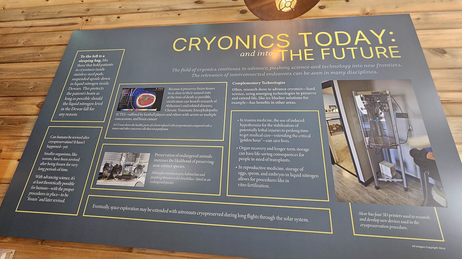Among the educational materials is this one explaining present-day uses of cryonics to preserve biological tissues.