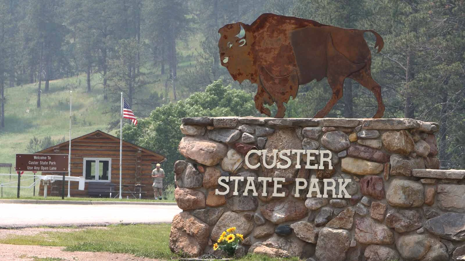 Public backlash against a reported kill order may have saved a bison who attacked and killed a woman in Custer State Park. Advocates for the animal say he was acting within his wild nature on his home turf when he attacked and killed the 70-year-old Canadian tourist.