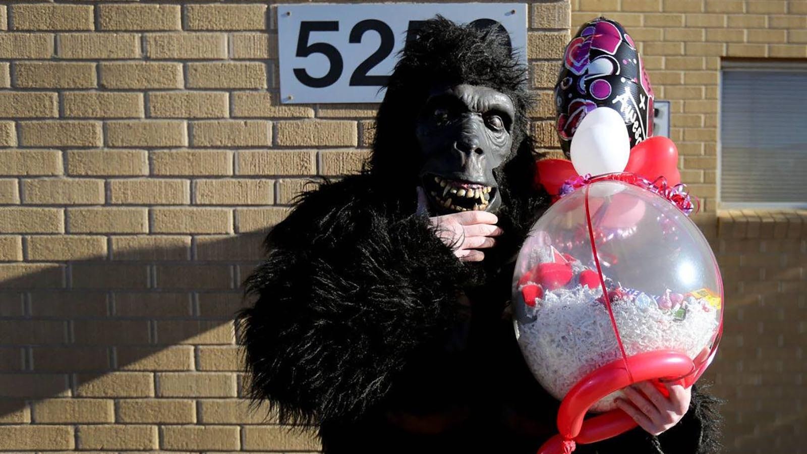 Casper has had a Cupid of sorts for the past 10 years in Joe Eason, who does singing telegrams as a side gig. Valentine’s Day is his biggest day of the year, delivering up to 35 of the most embarrassing singing telegrams he can muster. His singing gorilla also is popular.