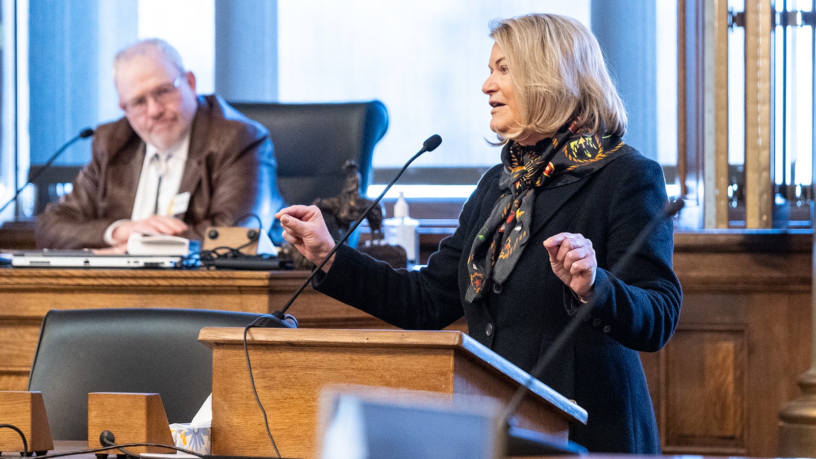 U.S. Sen. Cynthia Lummis addresses the 2023 Wyoming Legislature.