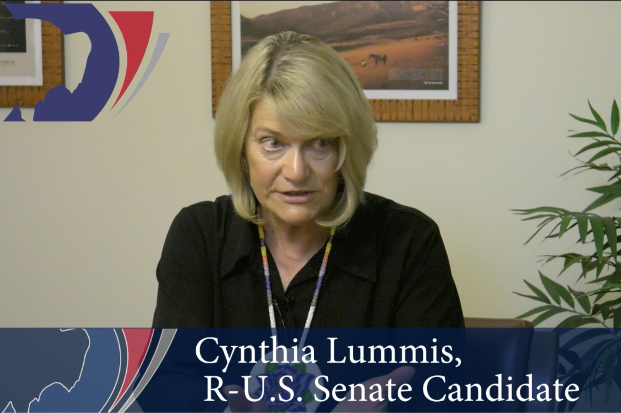 Cynthia Lummis US Senate