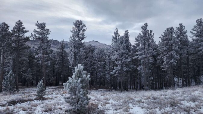 "Frosty morning on the mountain. Albany peak in the background. Love the clean, crisp air up there!"