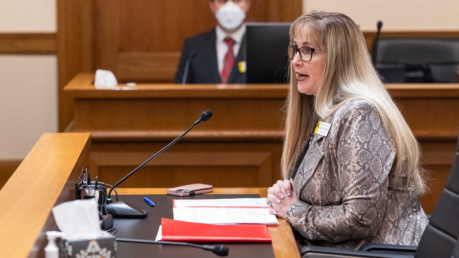 State Sen. Cheri Steinmetz, R-Lingle, testifies for the House Labor, Health and Social Services Committee about DEI funding Friday, Feb. 21, 2025.