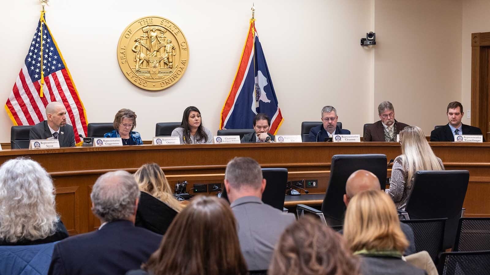 State Sen. Cheri Steinmetz, R-Lingle, testifies for the House Labor, Health and Social Services Committee about DEI funding Friday, Feb. 21, 2025.