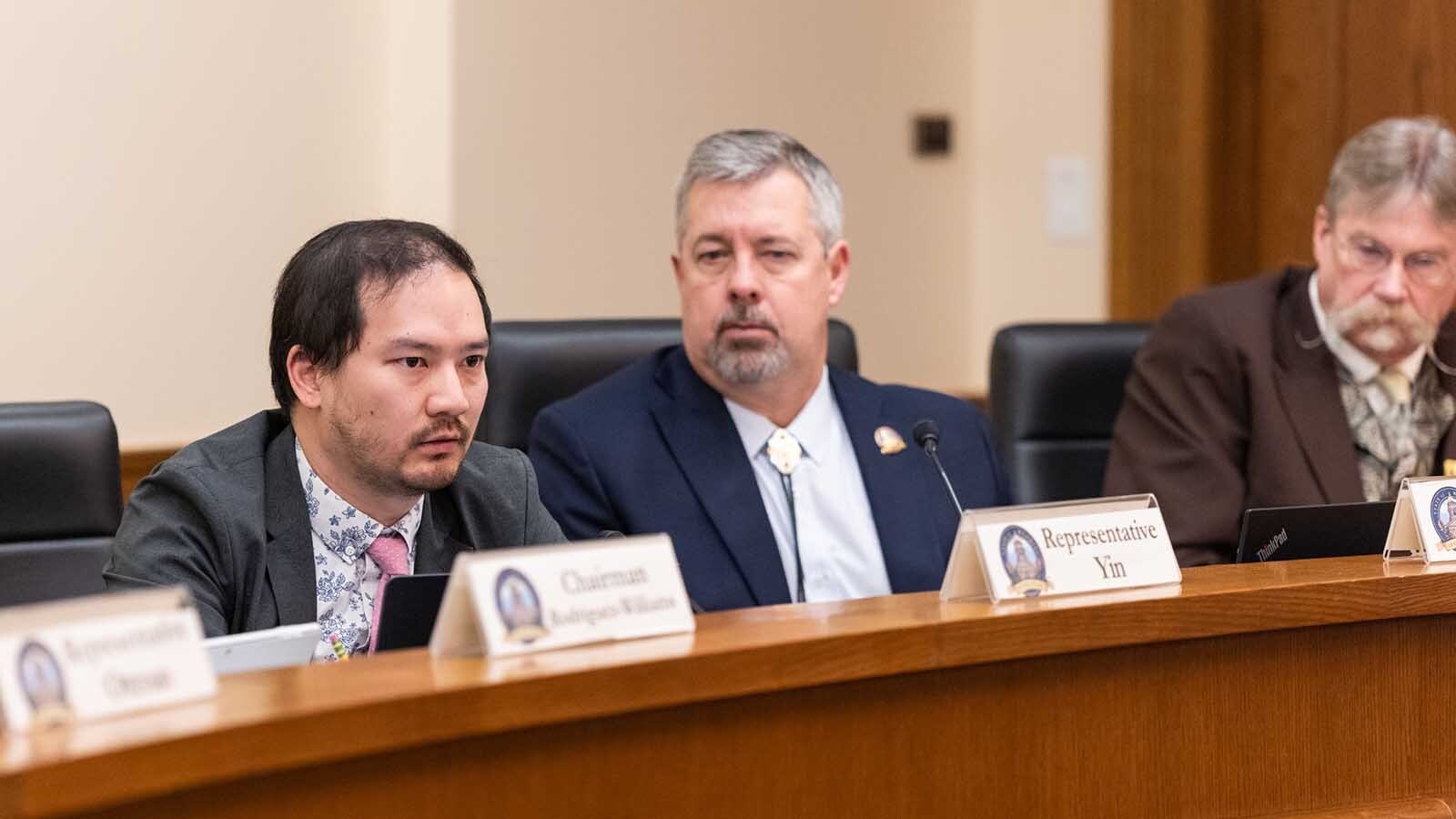 Rep. Mike Yin, D-Jackson, during a House Labor, Health and Social Services Committee debate on DEI funding Friday, Feb. 21, 2025.