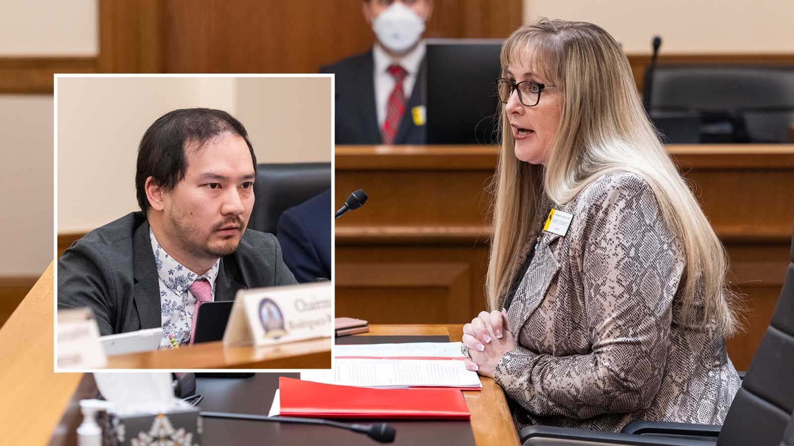 State Rep. Mike Yin, D-Jackson, left, was the lone vote against banning DEI from Wyoming agencies and policies. The bill's sponsor, Sen. Cheri Steinmetz, R-Lingle, says it's a "a long time in coming."