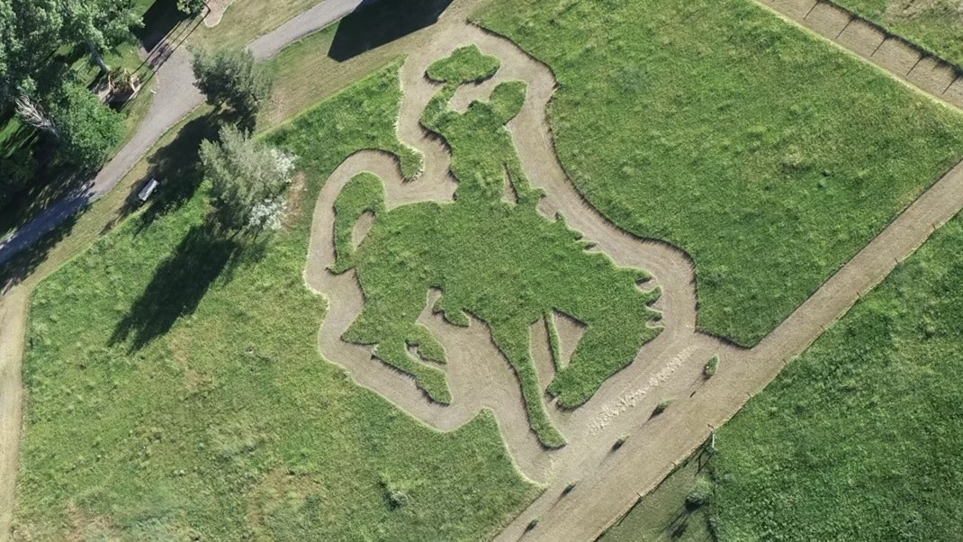 DJI 0035