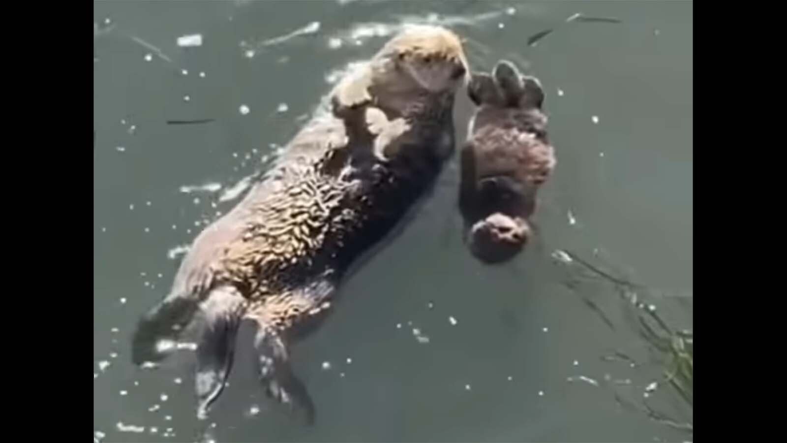 Daily Smile video 4 2 25