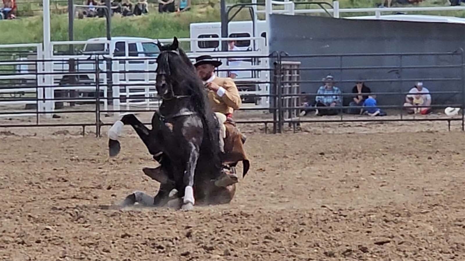 Romano shows how well he can keep time, stamping one hoof to the drum beat.