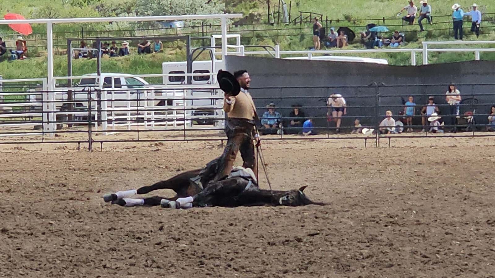 Romano lies down on command, and his owner, Felix Santana, salutes the cheering crowd at the rodeo during Chris LeDoux Days final run in Kaycee, Wyoming.