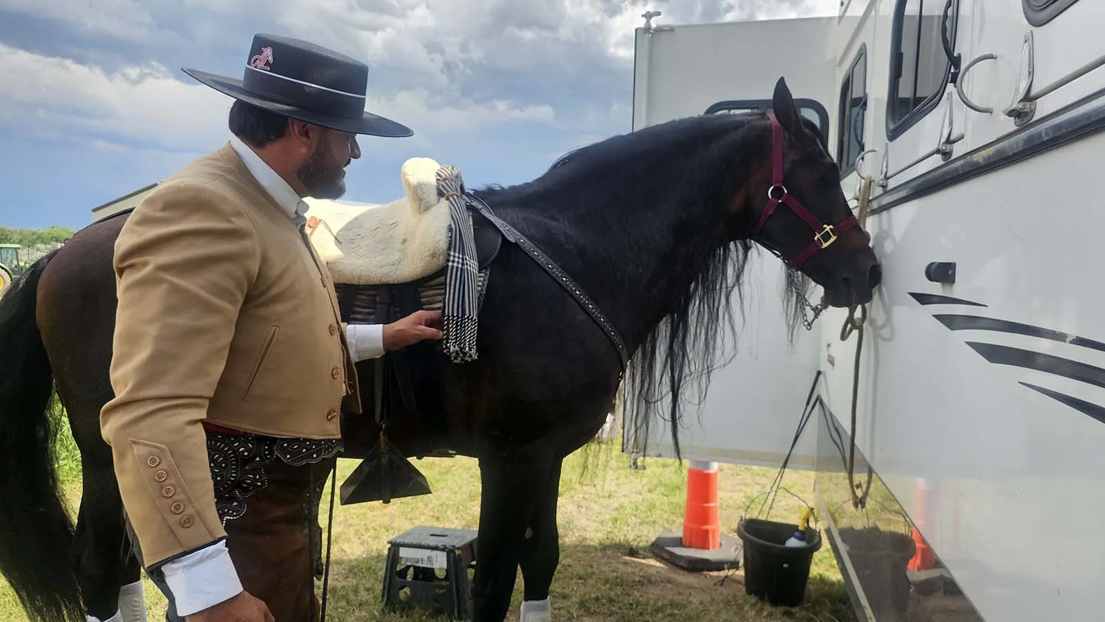 Majestic Andalusian War Horse Wows Wyoming Crowd | Cowboy State Daily