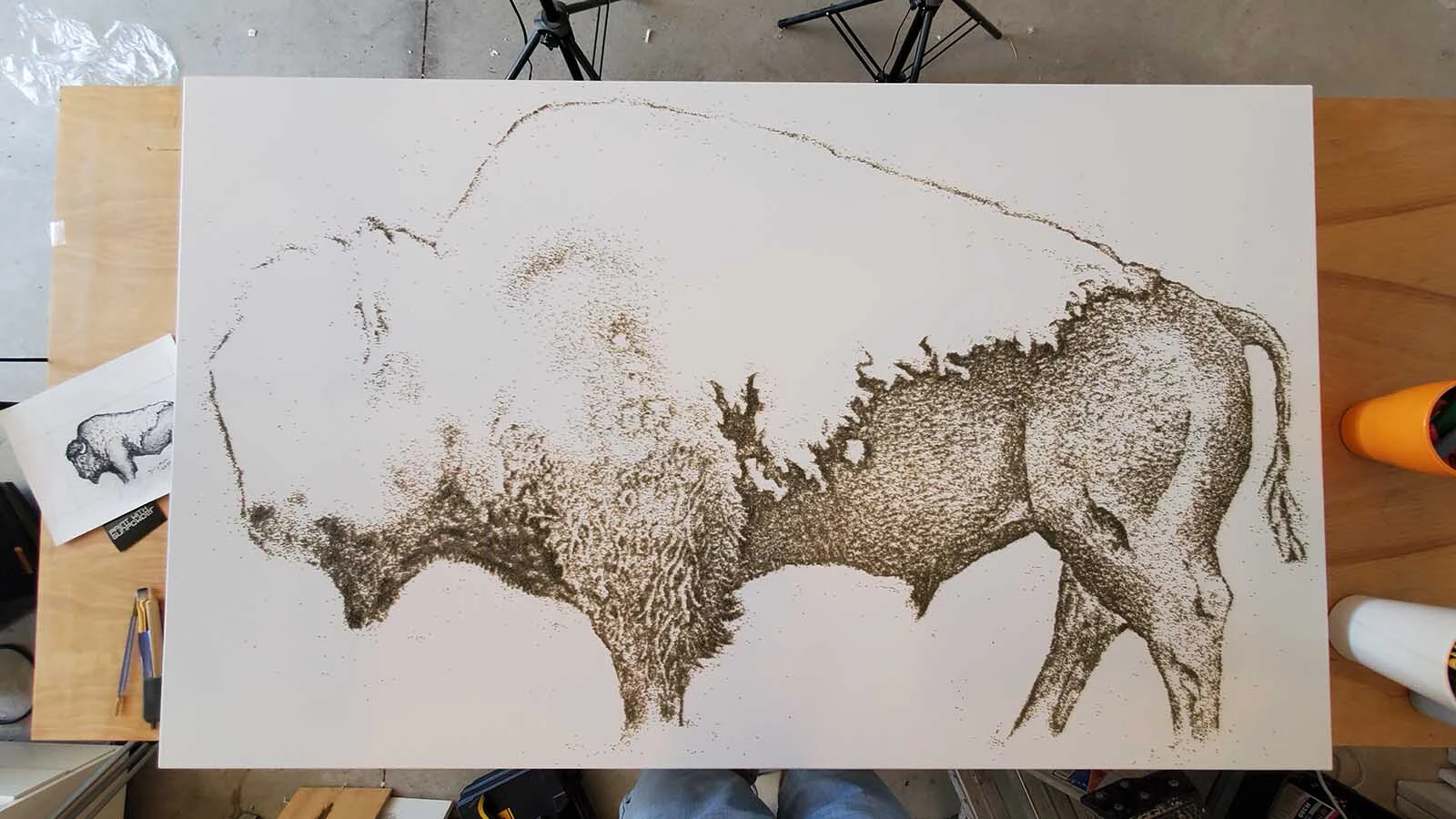 A portrait of a bison in progress by Danny Shervin.