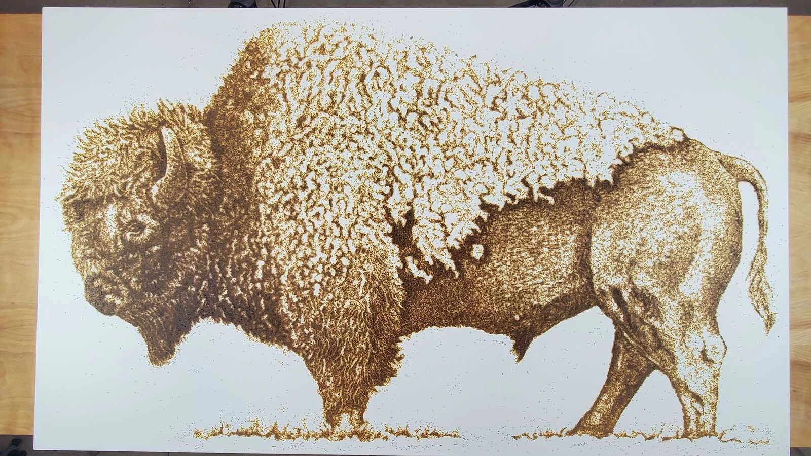Getting closer to finished this portrait of a bison is made using gunpowder that will be lit on fire.