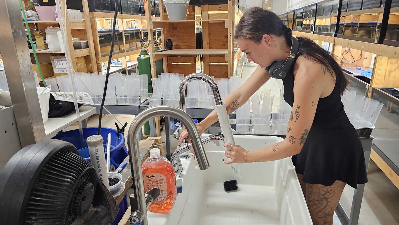 A worker prepares an individual cell for fish to travel in to their new home.