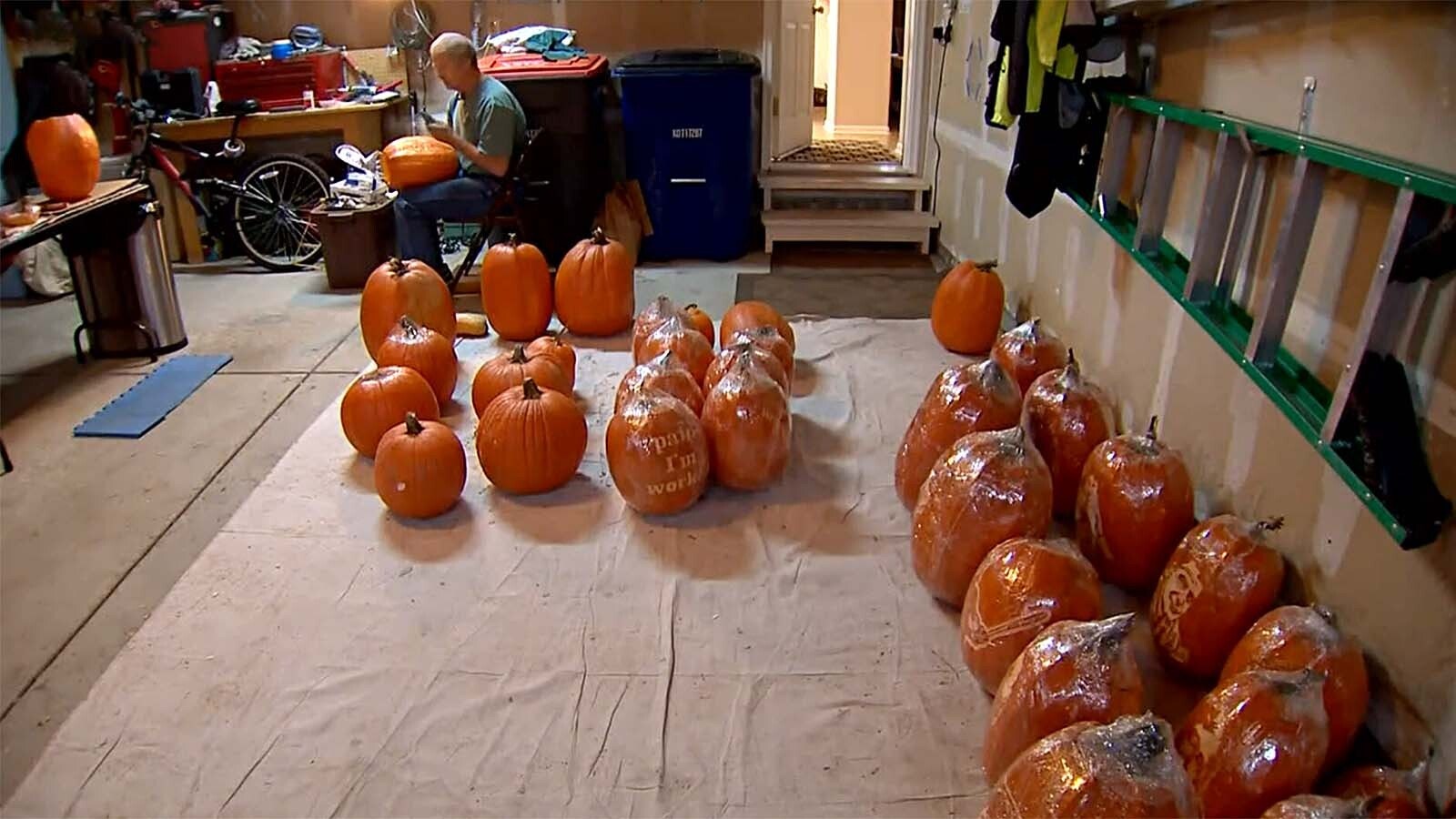 Dave Cunningham spends days carving 70-80 pumpkins each Halloween. He wraps them in plastic wrap to keep them fresh.