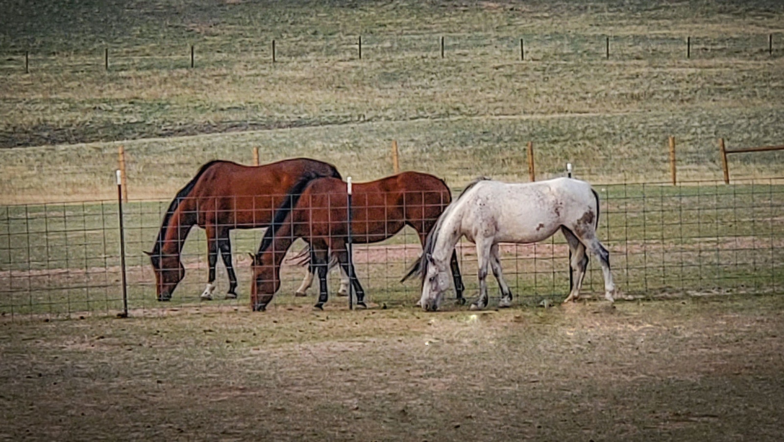 Jack, Wendy and Faith enjoy a snack at the Davissa Ranch near Cheyenne.
