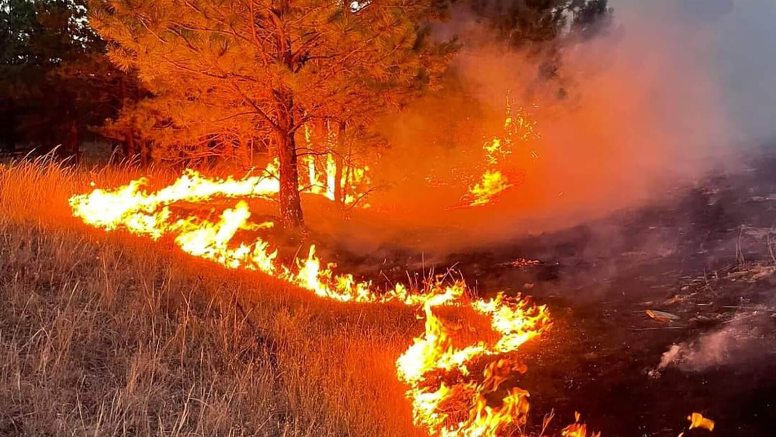 On the fire lines battling the Remington Fire.