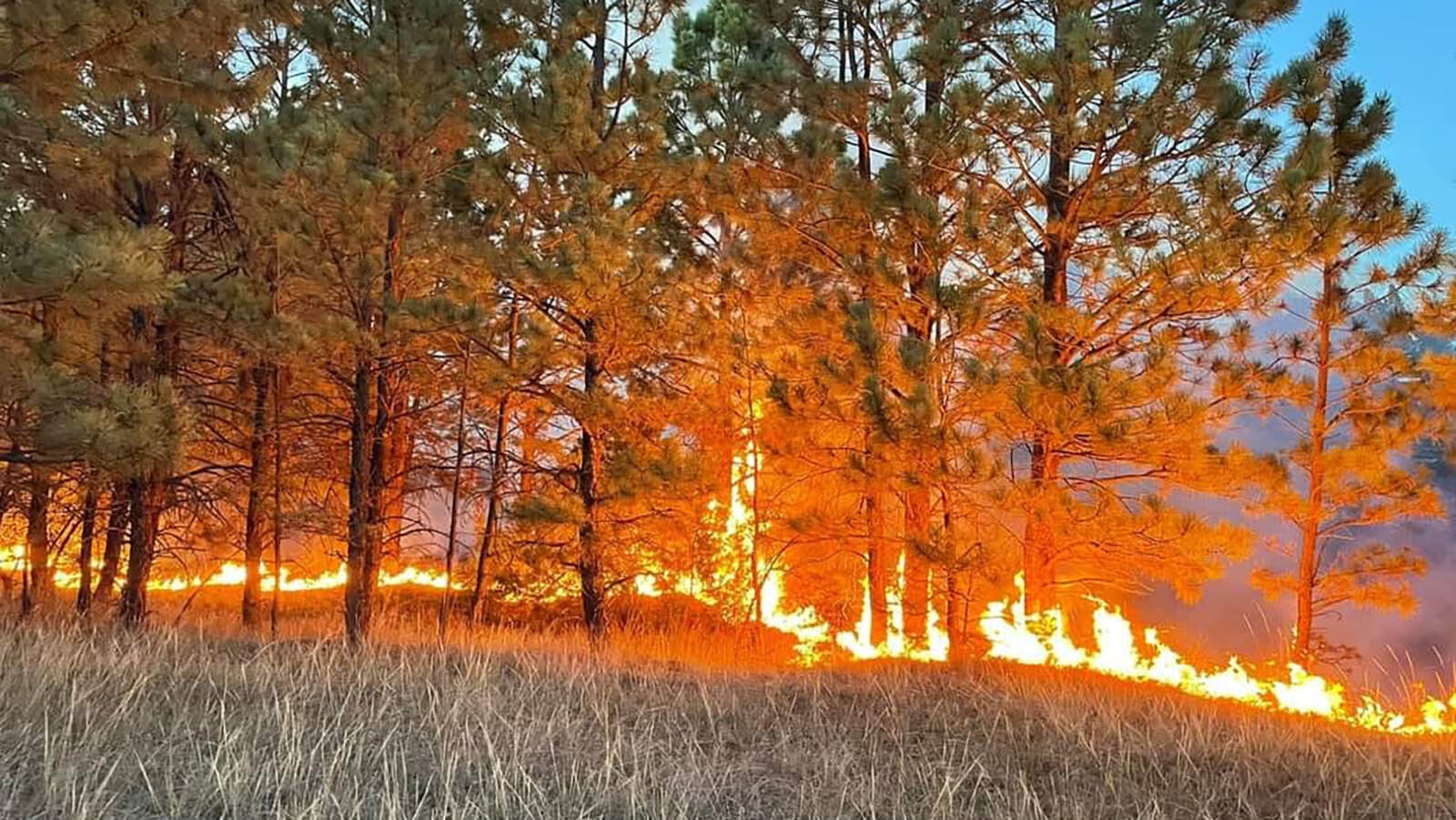 On the fire lines battling the Remington Fire.