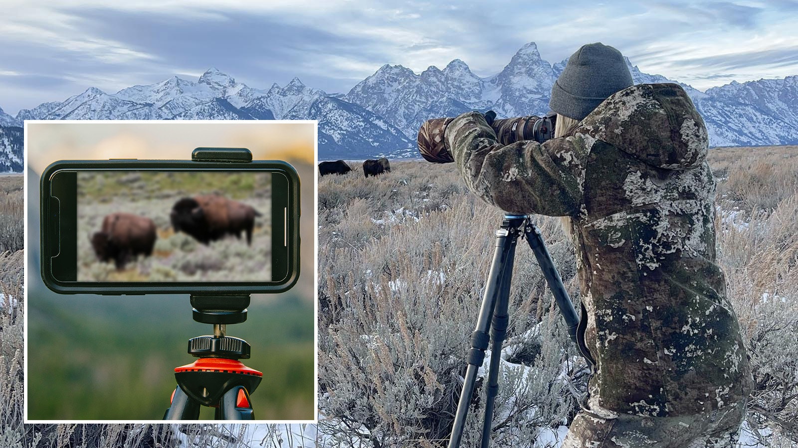 Cellphone cameras are better than ever, but if you want to match the quality of images that professional shutterbugs capture of Wyoming’s wildlife, you’ll have to spend tens of thousands of dollars.