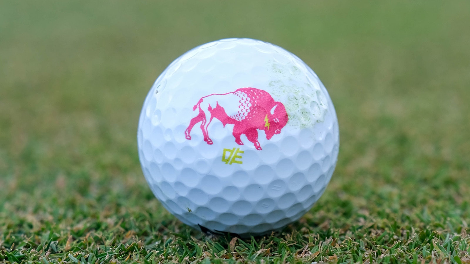 The logo for Double Edge Golf is a buffalo with the texture of a golf ball in its neck fur.