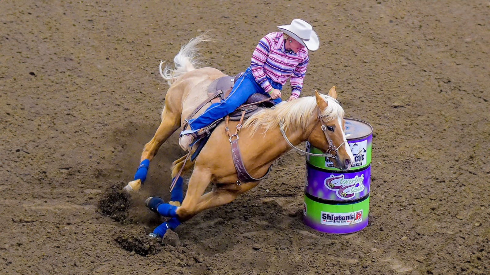 Dede Anders of Powell, Wyoming, lives to ride. She had been preparing for the race of a lifetime next year in the famous Mongol Derby, a 620-mile race dubbed the longest and toughest on the planet.