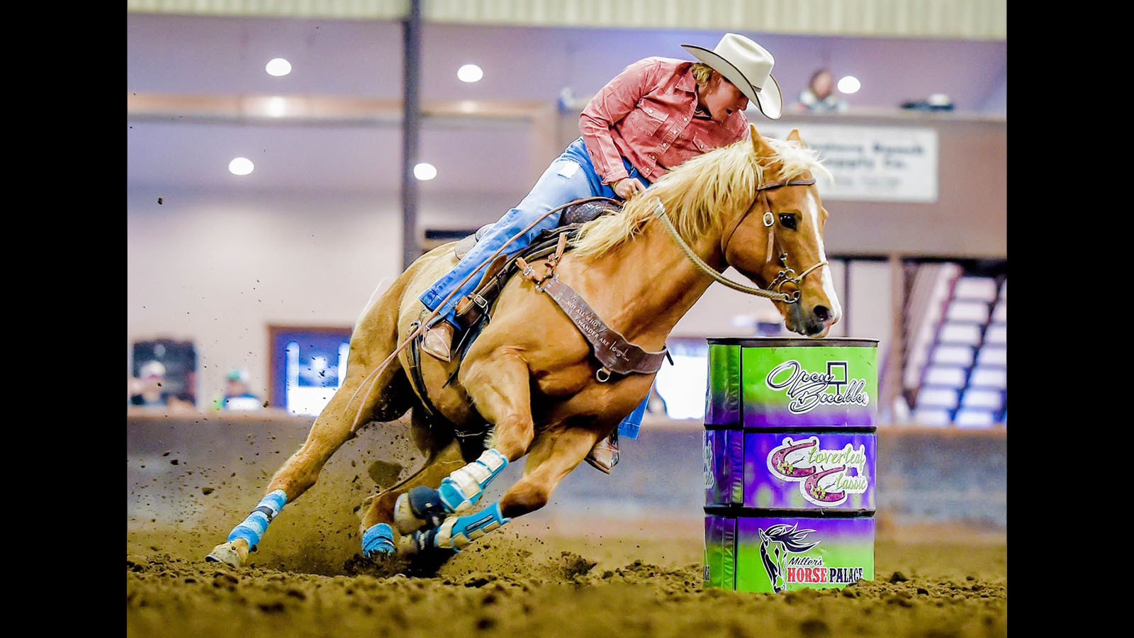 Dede Anders of Powell, Wyoming, lives to ride. She had been preparing for the race of a lifetime next year in the famous Mongol Derby, a 620-mile race dubbed the longest and toughest on the planet.