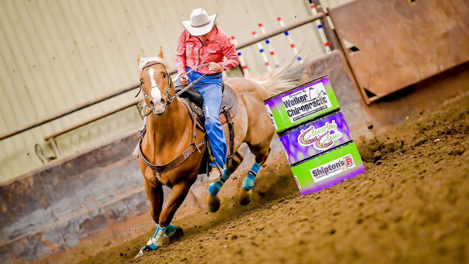 Dede Anders of Powell, Wyoming, lives to ride. She had been preparing for the race of a lifetime next year in the famous Mongol Derby, a 620-mile race dubbed the longest and toughest on the planet.