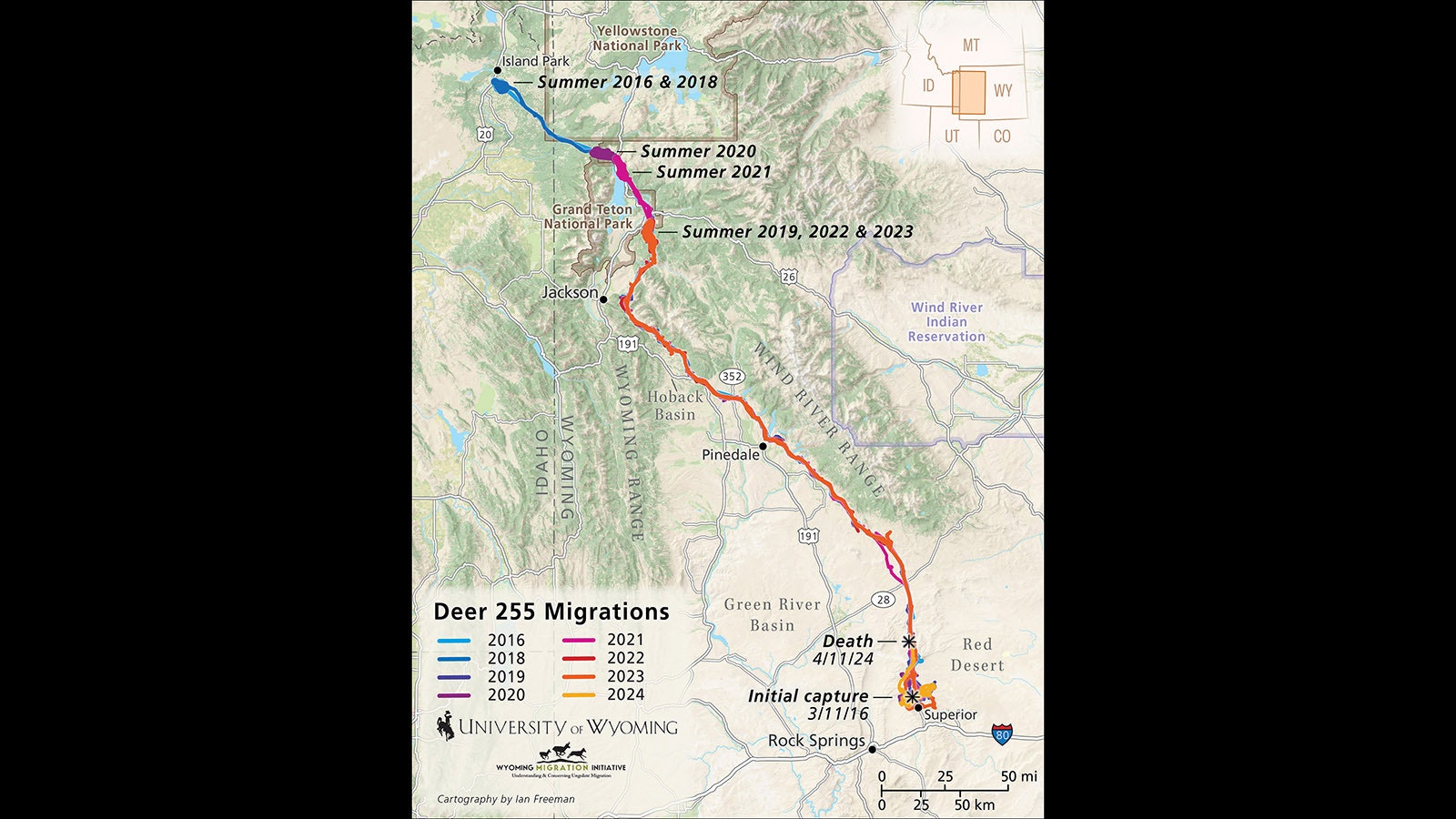 Deer 255’s migration map shows a remarkable fidelity to her route year after year. Although her summer ranges varied between Island Park, Idaho, and Jackson Hole, her winter ranges were always in the Leucite Hills of the Red Desert near Superior.