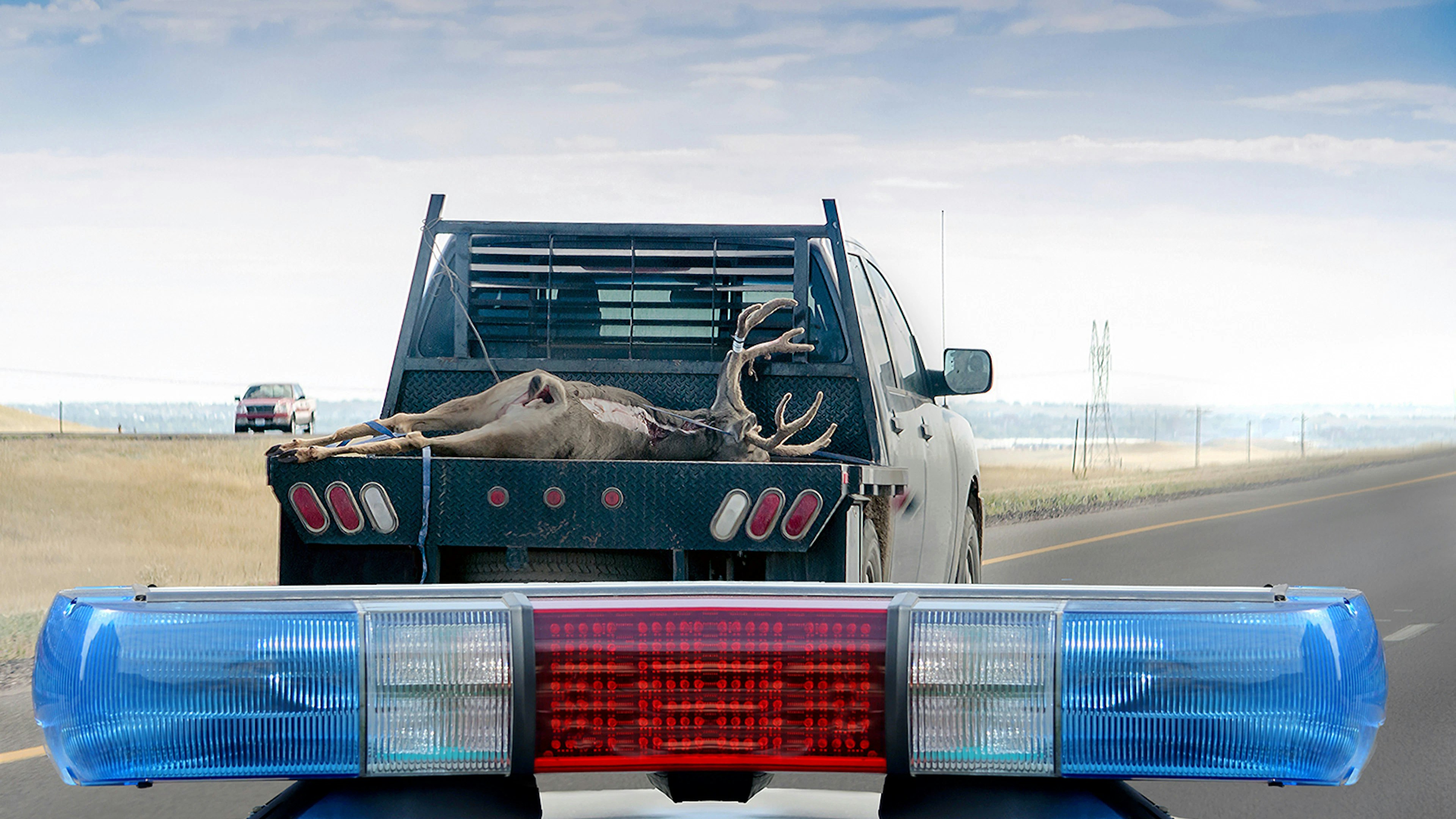 Deer poacher 11 1 23
