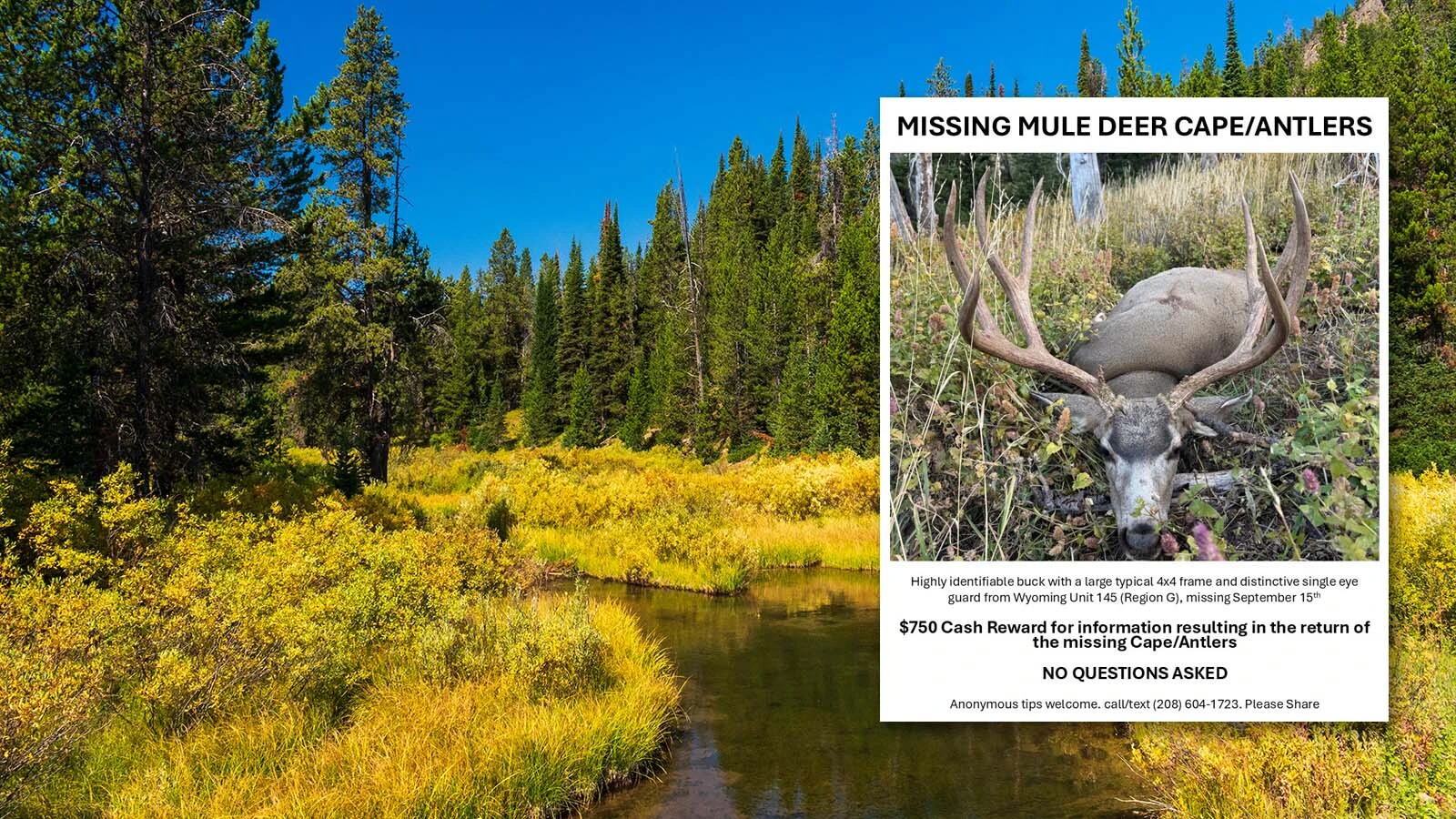 Dakota Smith is offering a $750 reward for the return of his trophy, a mule deer head, antlers, and cape.