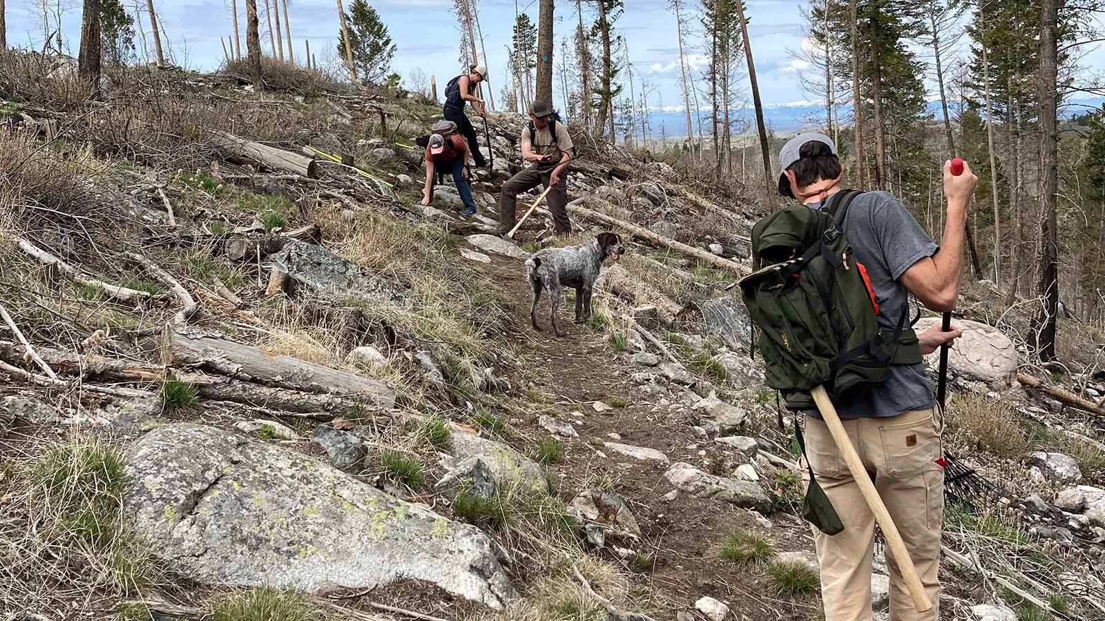 The Sublette Trails Association helps build and maintain trails in the Pinedale area. The group wants to open a new trail near Fremont Lake, but some worry that would disrupt mule deer migration.