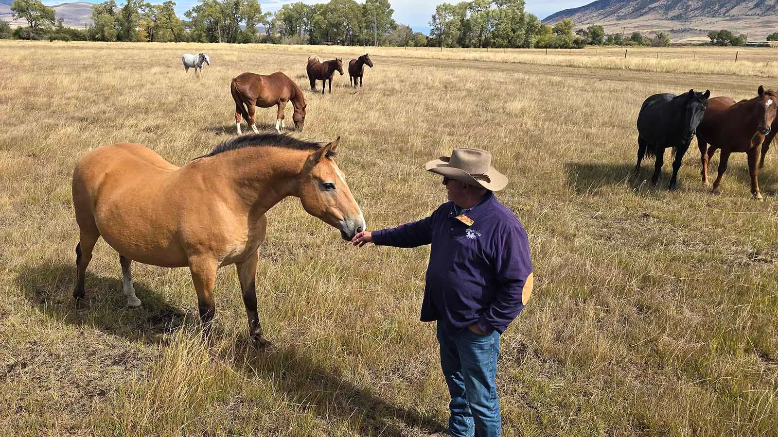Rich Wilson is greeted by one of the unadoptable wild mustangs who lives on the Deerwood Ranch. These older wild horses don't typically approach people, but many will watch from a distance.