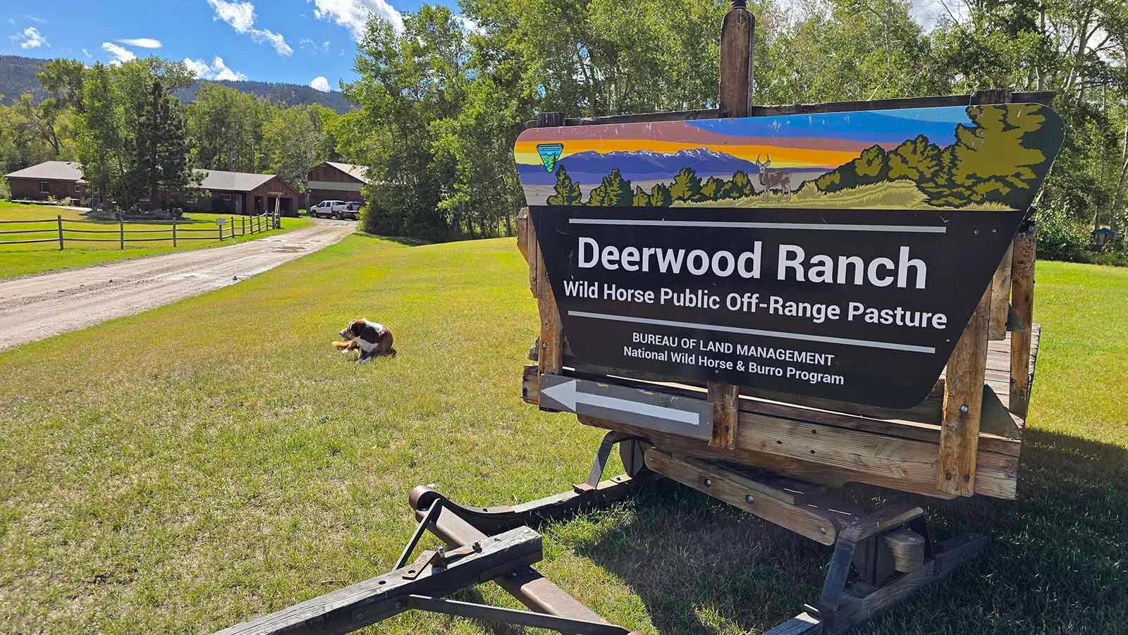 The Deerwood Ranch was the first privately held Bureau of Land Management wild horse sanctuary in the country.