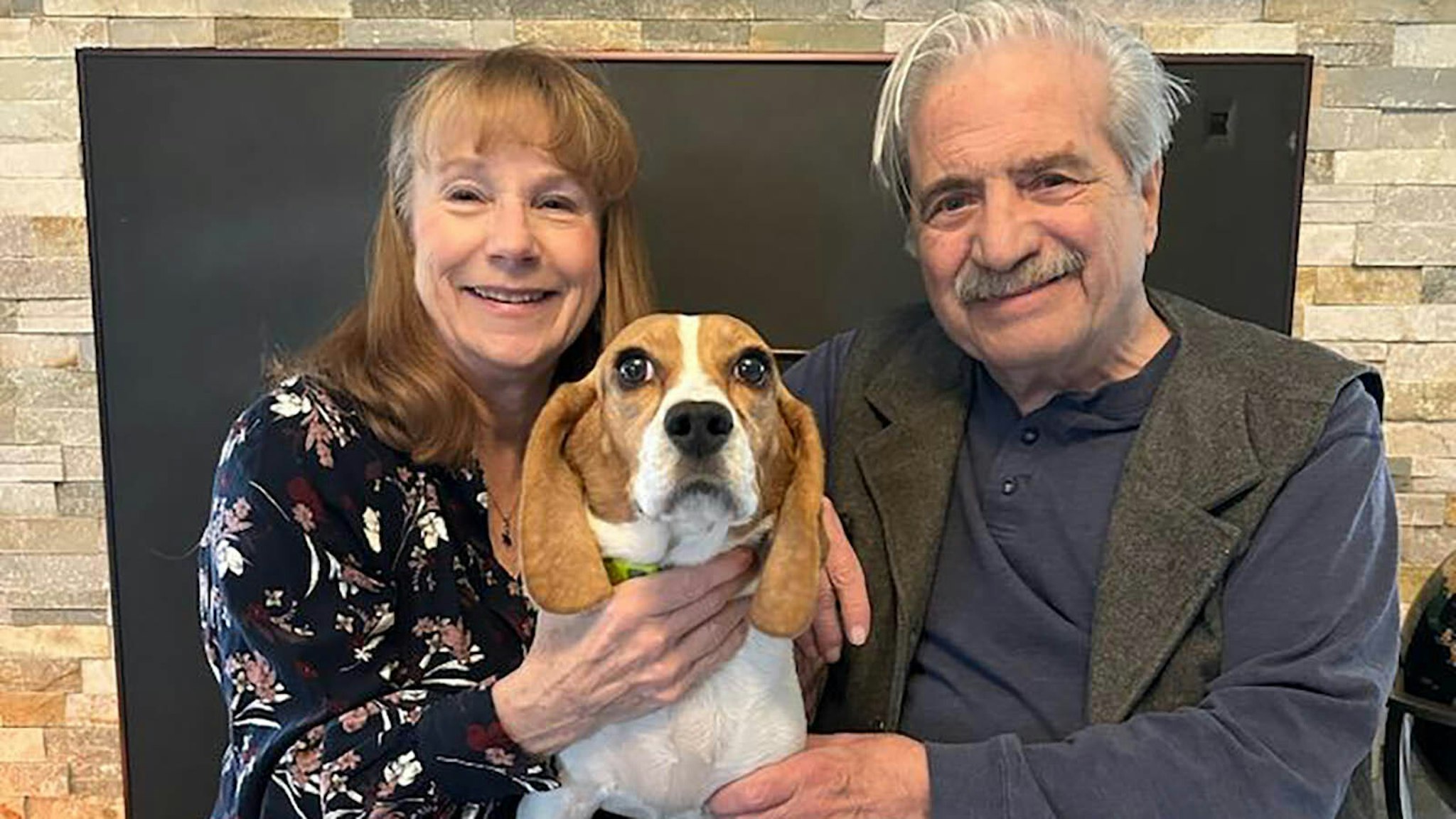 How Rescued Lab Beagles Learn How To Be Dogs | Cowboy State Daily