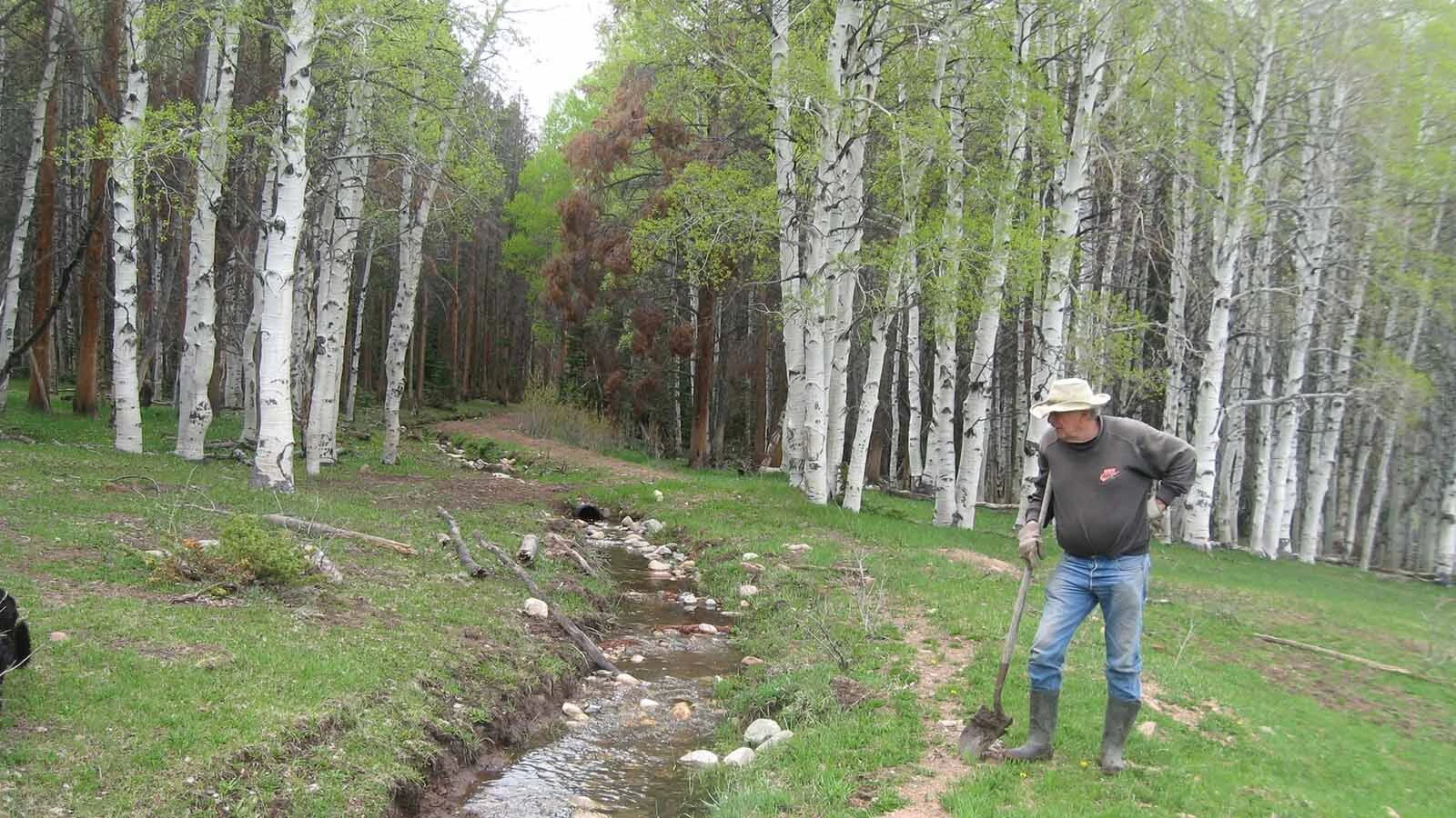 Aspen Alley rancher Dennis Faerber has been working to help revitalize the famous southern Wyoming fall colors corridor.