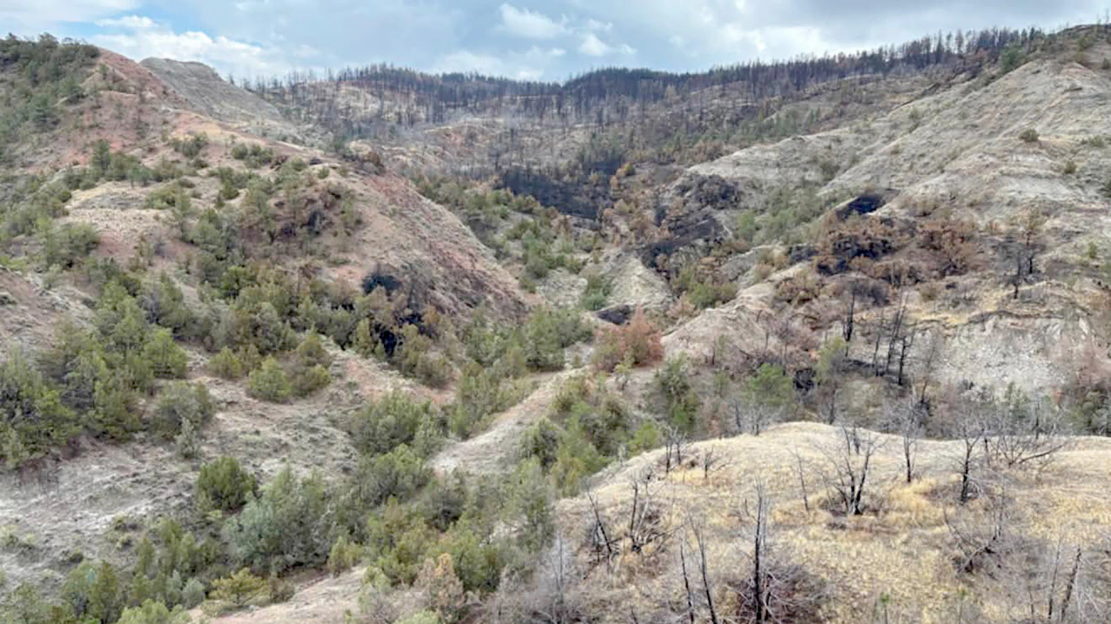 Weston Hills, an 8,000-acre recreational area managed by federal agencies, proved to be challenging terrain for SAR teams on their multiple searches over the past three months for Derek Schaff.